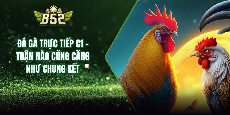 đá gà trực tiếp c1