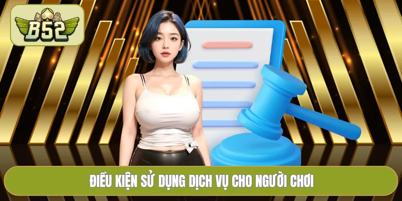 Điều kiện sử dụng dịch vụ cho người chơi